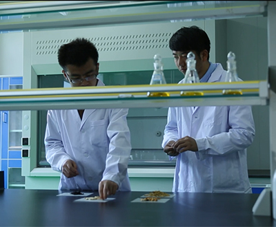 ι˾cͥȫp(xin)]ְl(f)ջ(dng)Ҋ(jin)